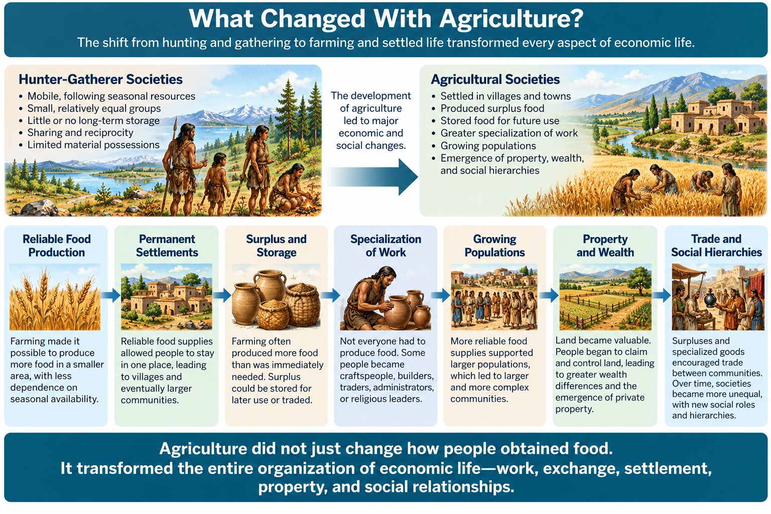 Infographic comparing hunter-gatherer societies with agricultural societies and showing how agriculture contributed to permanent settlements, food surpluses and storage, specialization of work, population growth, property and wealth, trade, and social hierarchies.